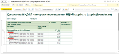 Покупка настройки отчета "Сводная справка 2-НДФЛ - с колонкой Осталось исчислить" 709964